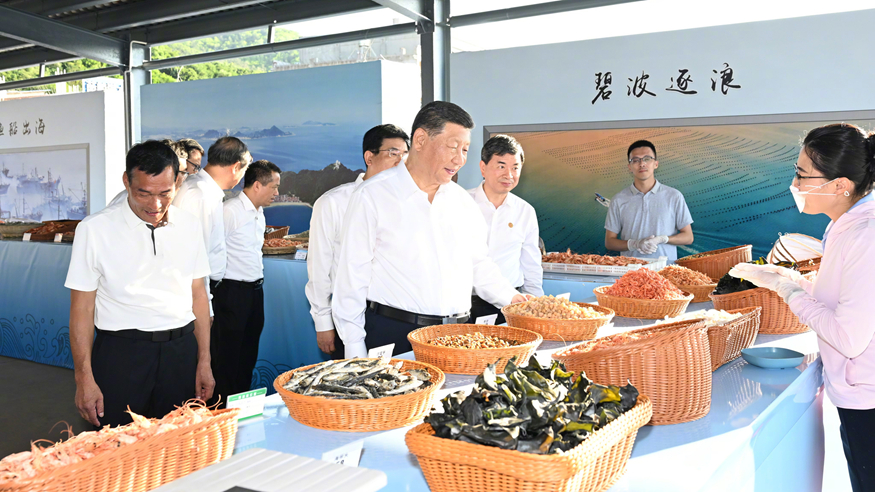 独家视频丨习近平在福建漳州市考察调研